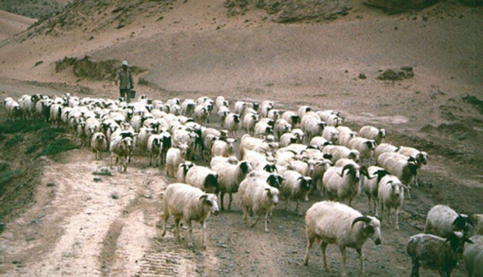 探寻宁夏西北之美的独特韵味